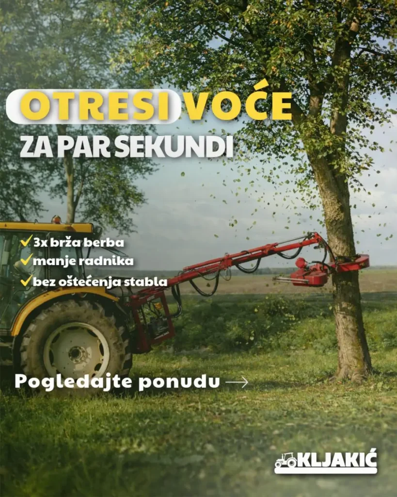 NS Dizajn — primer promotivnog vizuala